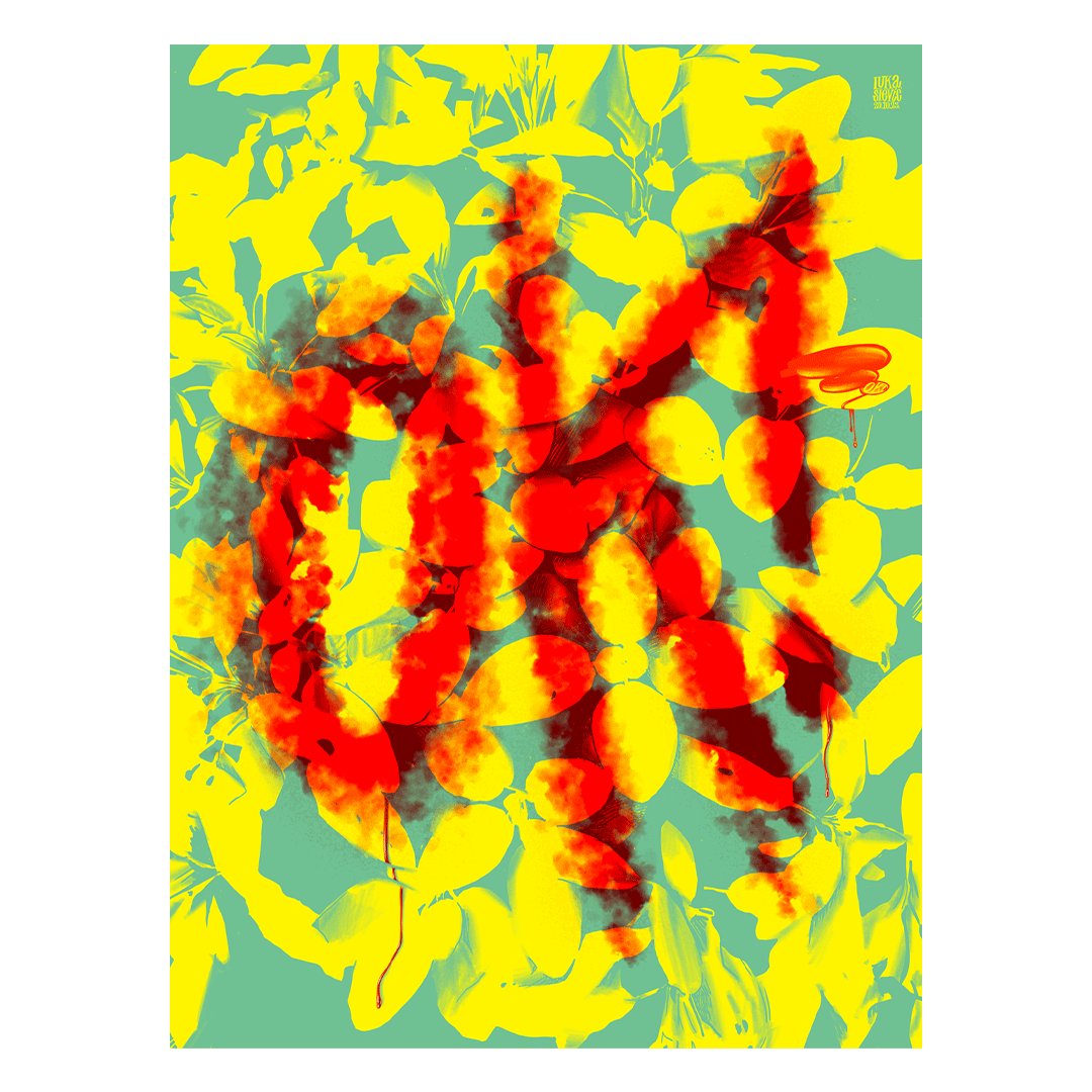 / OK / Nature of Anarchy. /